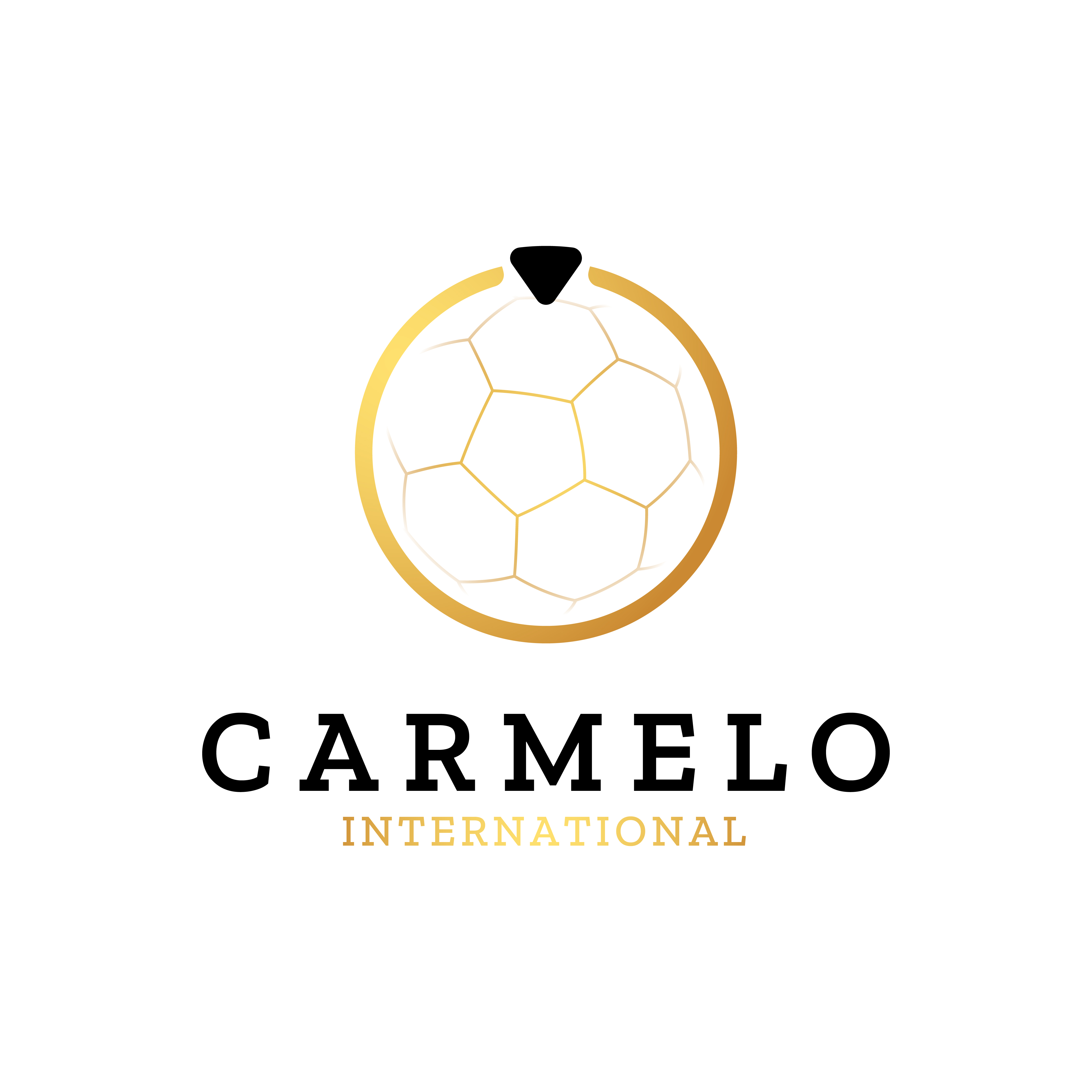 Client Logo 0